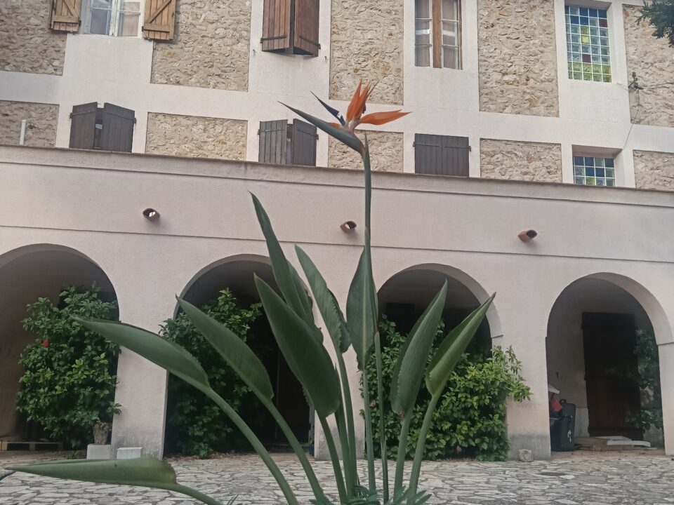 Dziedziniec klasztoru Karmelitanek Dzieciątka Jezus w Toulon