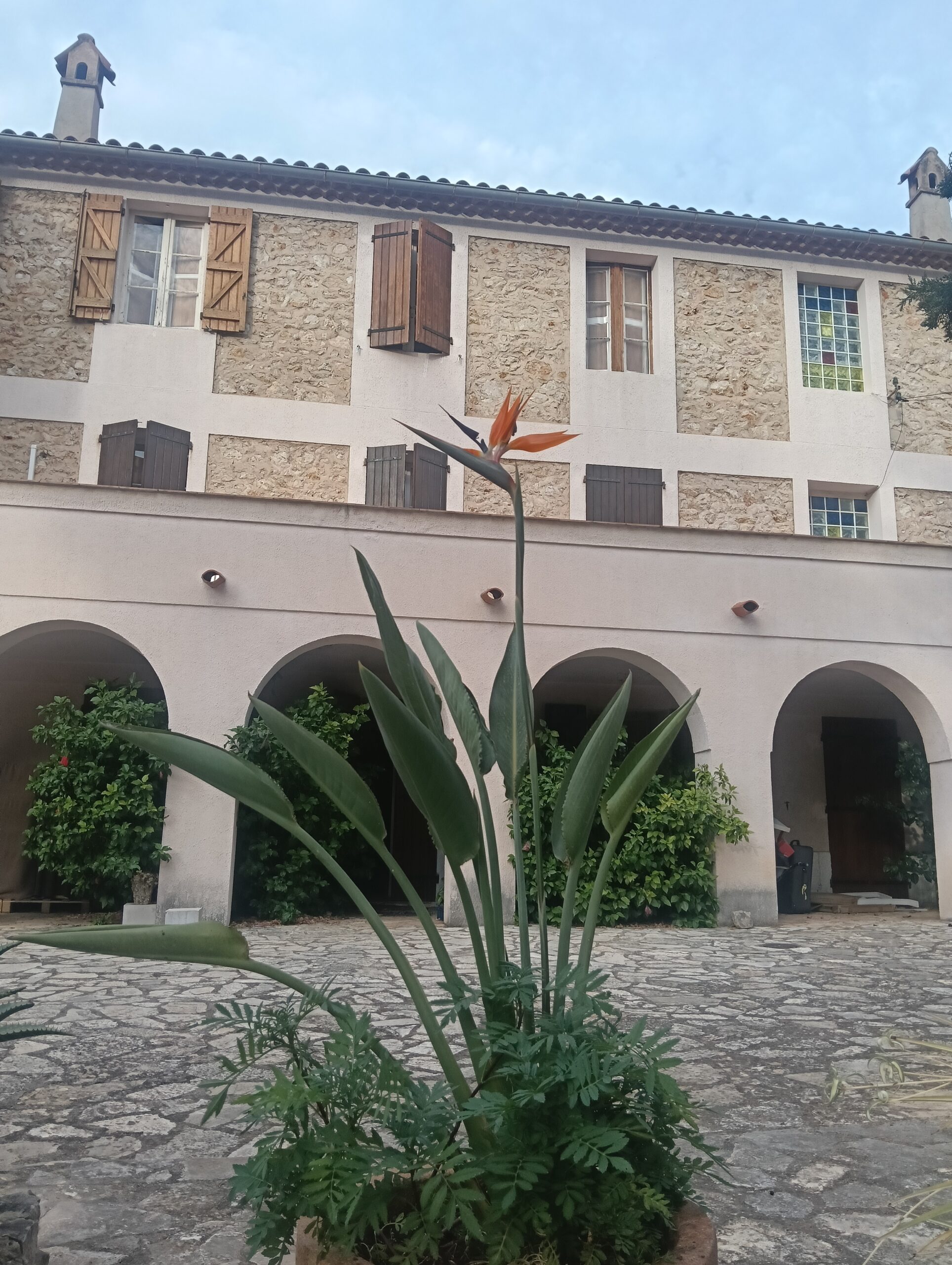 Dziedziniec klasztoru Karmelitanek Dzieciątka Jezus w Toulon